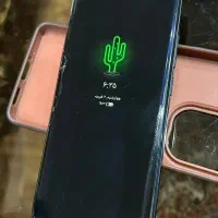 شیامی نوت۱۳پرو پلاس