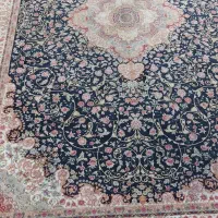 یک جفت ۶متری ۱۰۰۰شانه