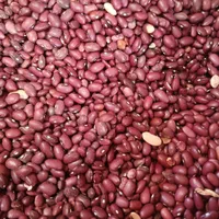 حبوبات نخود عدس لوبیا|خوردنی و آشامیدنی|مشهد, تبادکان|دیوار