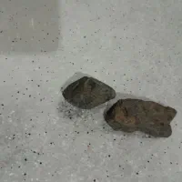 سنگ های قیمتی|کلکسیون اشیاء عتیقه|حسین آباد, |دیوار