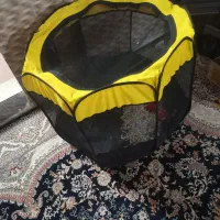 خانه بازی سگ