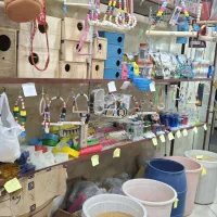 پت شاپ نوک طلا|لوازم جانبی حیوانات|رشت, معلولین|دیوار