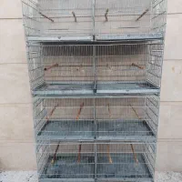 اردشیر طرح قدیم