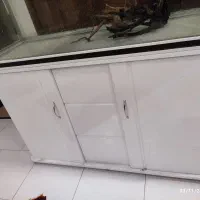 آکواریوم بزرگ شرکت ماهیران|ماهی|مشهد, فارغ التحصیلان|دیوار