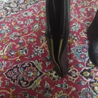 بوت بالای زانو|کیف، کفش، کمربند|شیراز, وحدت|دیوار