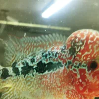 مرکز نمایندگی اکواریوم های شرکتی در استان مرکزی