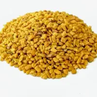 فروش بذر یونجه و شبدر و شنبلیله|خدمات باغبانی و درختکاری|ایلخچی, |دیوار