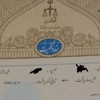 ضمانت سند