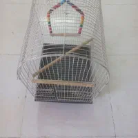 قفس عروس هلندی یا طوطی...