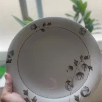 ۲تا سرویس چینی توس