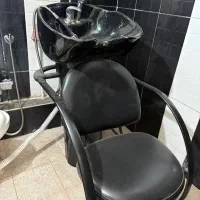 سرشور ایستاده