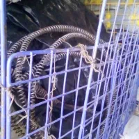 لوله بازکنی. و لوله کشی ساختمان