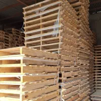 پالت چوبی|حراج|اشتهارد, |دیوار