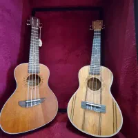 فروش انواع گیتار یوکله له پیکاب دار و ساده|گیتار، بیس، امپلیفایر|اردبیل, |دیوار