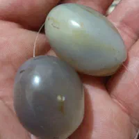 برد سلیمانی