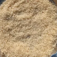 برنج فجر شمال|خوردنی و آشامیدنی|خان ببین, |دیوار