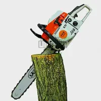 قطع درخت ،هرس، باغ ومنزل