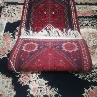 دوعدد قالی دست بافت|گلیم، جاجیم، گبه|شیراز, فرگاز|دیوار