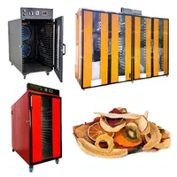 گازی و برقی دستگاه میوه خشک کن صنعتی smart