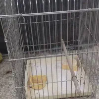 قفس سایز بزرگ قدیمی