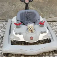 روروک بچه|کالسکه و لوازم جانبی|رشت, نامجو|دیوار