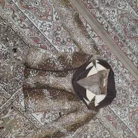 پیراهن سفید|لباس|اندیمشک, |دیوار