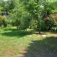 ویلا باغ،۲خوابه حیاط دار،پارکینگ دار،درشهر تالش.|اجارهٔ کوتاهمدت آپارتمان و سوئیت|تالش, هشتپر|دیوار