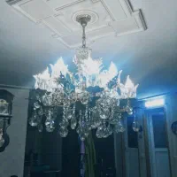 دوعددلوستربرنز6شاخه