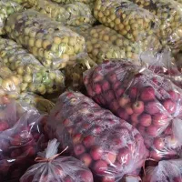 سیب درجه دو پلاستیک