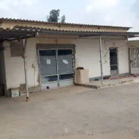 ملک تجاری ومکانی  روستای یسیرگچن|فروش دفتر صنعتی، کشاورزی، تجاری|گنبد کاووس, |دیوار