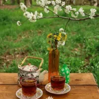 اجاره اتاق روزانه