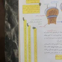 حاشیه نویسی یازدهم|کتاب و مجله آموزشی|اهواز, لشکرآباد|دیوار