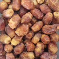 فروش خرما