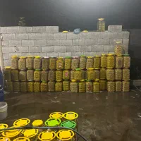 نیروی کار خانم برای نظافت و شستشو در انبار ترشیجات