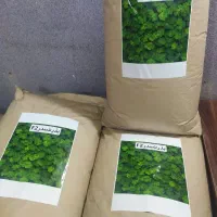 بذر شبدر برسیم