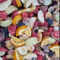 میوه خشک پفکی بستنی خشک