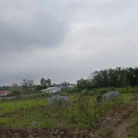 تخریب ساختمان  بلوک  چینی بنایی   سیمان کاری|خدمات پیشه و مهارت|نور, |دیوار