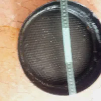 قالب کیک کمربندی