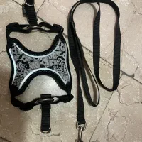 قلاده کتفی سگ