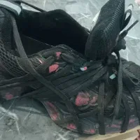 کفش|کیف، کفش، کمربند|مریوان, |دیوار