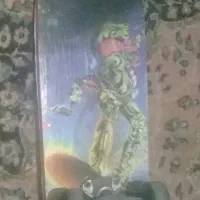 اسکیت برد