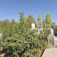 فروش یاتهاتر باغ ویلا نوساز در رامجین چهار باغ کرج|فروش خانه و ویلا|کرج, گلشهر|دیوار