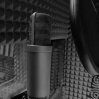 مجوز شعر / ترانه / تک آهنگ /کنسرت