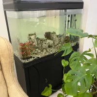 آکواریوم ماهی یک متری