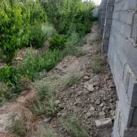 باغچه ۵۰۰متر چهاردیواری درشاهدشهر شهریار|فروش دفتر صنعتی، کشاورزی، تجاری|شاهدشهر, |دیوار