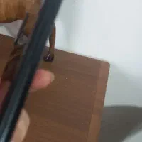 Galaxy A20s|موبایل|بم, |دیوار