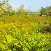 318مترکاربری-مسکونی-سند-خوش-قواره