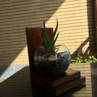 گلدان دست ساز با چوب اصل