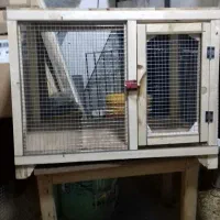 ساخت قفس چوبی|لوازم جانبی حیوانات|سنندج, |دیوار