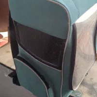 کوله حمل گربه